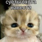 f574c8a33a2ac0c31a08d35195134e52.jpg