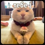 IMG_8848.jpeg