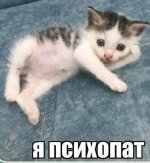 IMG_8846.jpeg