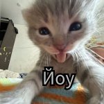 IMG_8893.jpeg