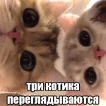 e97947e4f2150592c231fd5b4f84eb6e.jpg