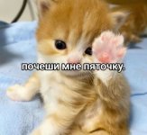 IMG_9060.jpeg