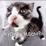 709c9a3c4f22a411c21ba0721b332210.jpg