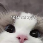 1759002654155.png