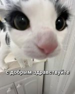 IMG_9920.jpeg