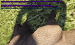 ss3.png