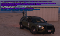 ss4.png