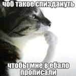 IMG_4673.jpeg
