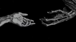 16C73946-46E9-4E35-A443-7F78A786C0D4.jpeg