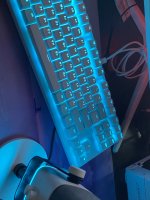 IMG_6588.jpeg