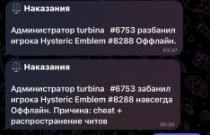 IMG_7299.jpeg