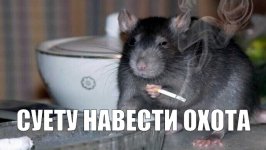 IMG_0664.jpeg