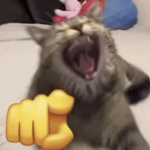 1792814479248.png