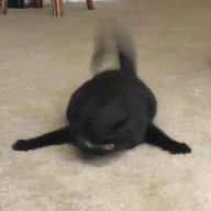 Игорь Дмитриевич