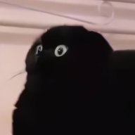 Sir