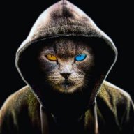 esqo