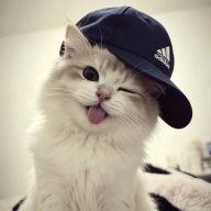 kelove