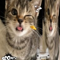 attack